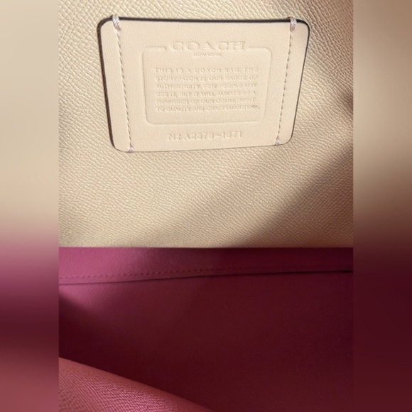 Coach Pebbled Leather Mollie (Large) Tote in PALE PISTACHIO - NWT - Picture 7 of 8